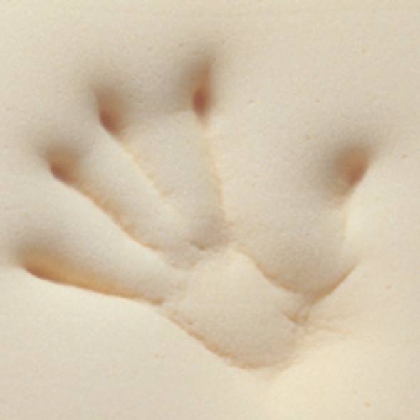 赤ちゃんファースト「テンピュール(R) オンブラシオピロー/ホワイト」の画像